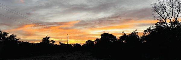 NJST11 Profile Banner