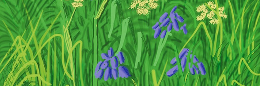 Annabel Roberts banner