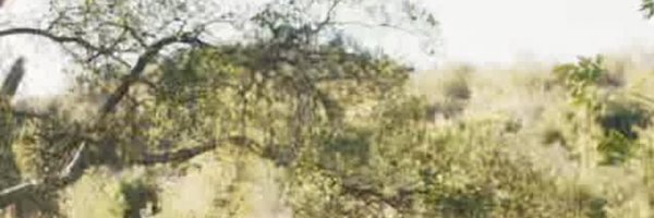 JimmyOYang_ Profile Banner