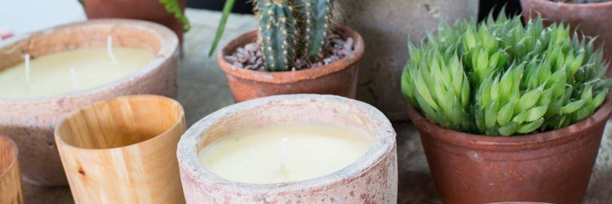 The Small Home banner