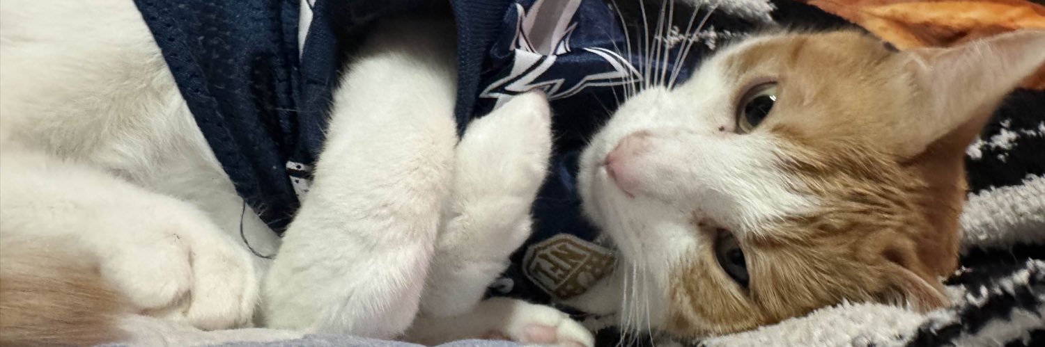 silv or treat 👻 banner