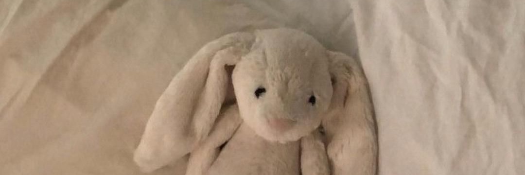 𝐬𝐭𝐞𝐯𝐢𝐞 banner