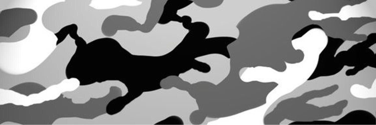 ohDirtt's profile banner image