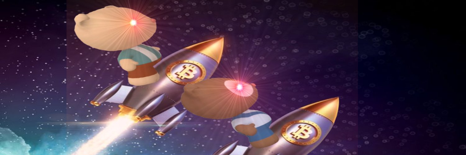 algoBear's profile banner image