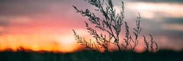 subhashchnadr13's profile banner image