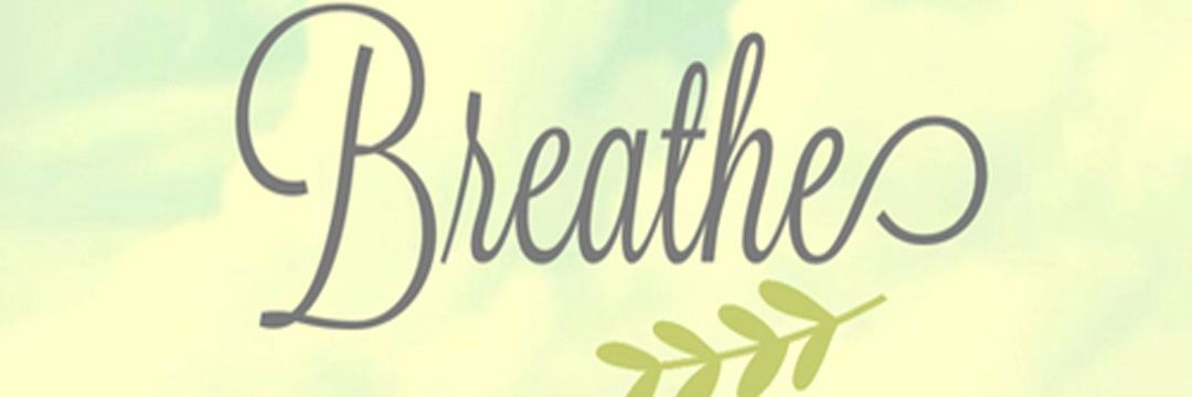 ORstonergirl88's profile banner image