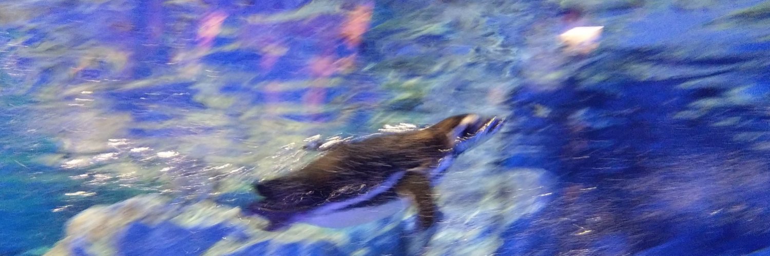 kumikobird's profile banner image