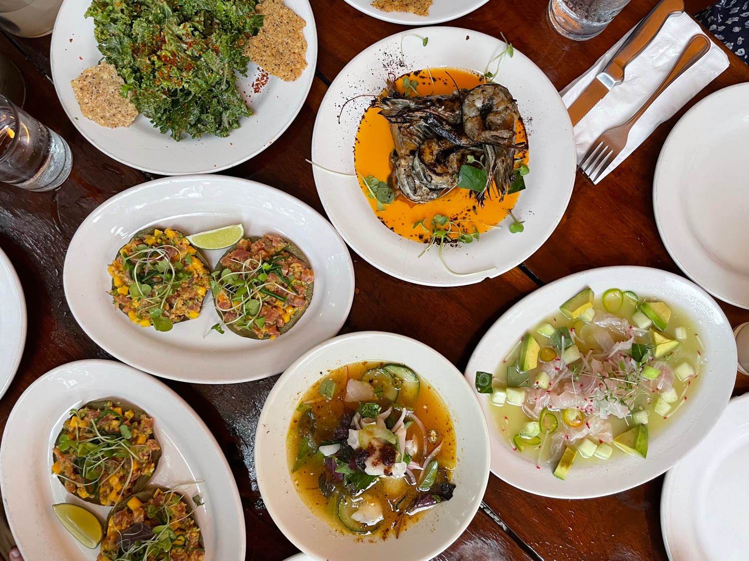 Nisha Chittal banner