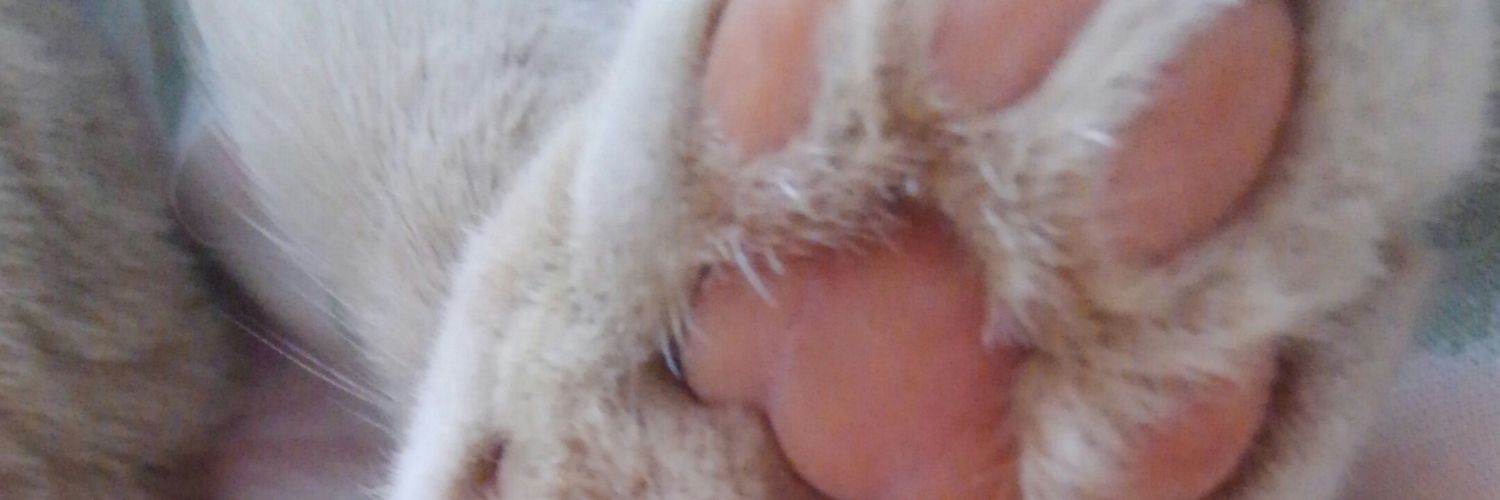 killmyall's profile banner image