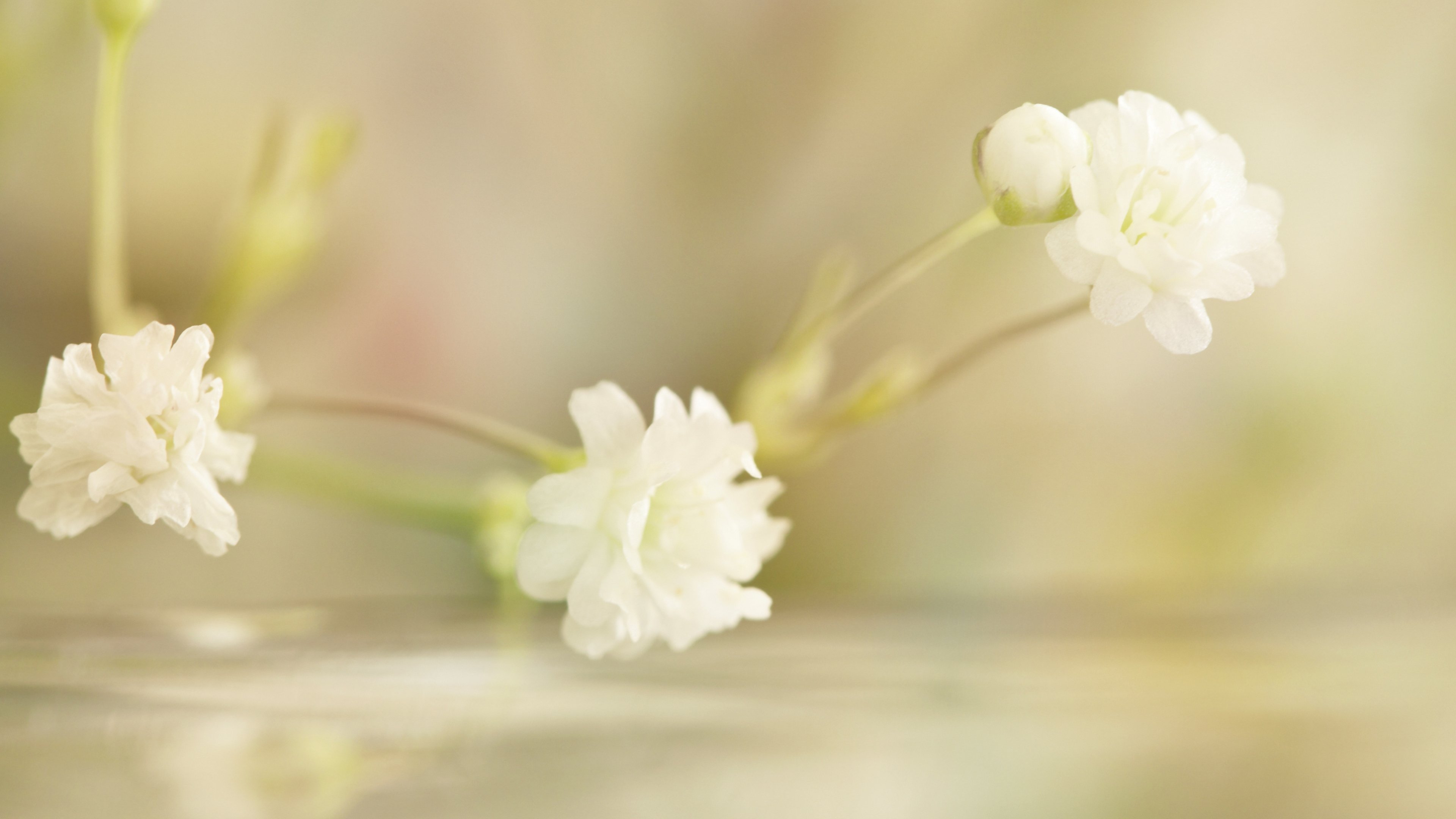 kris842's profile banner image