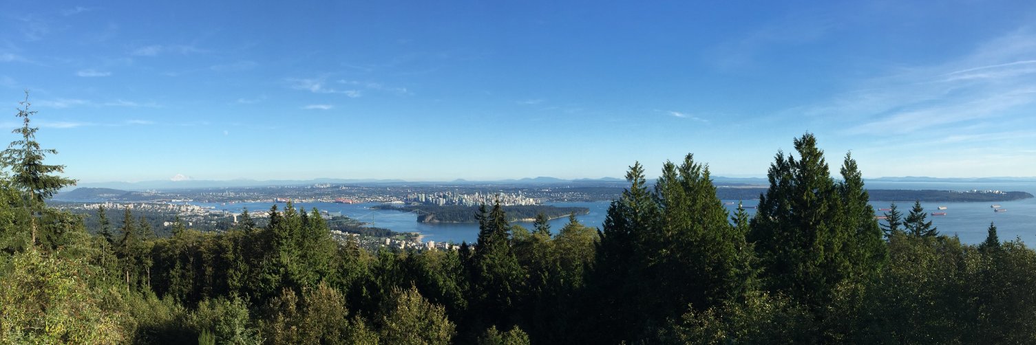 Michael Diamant banner