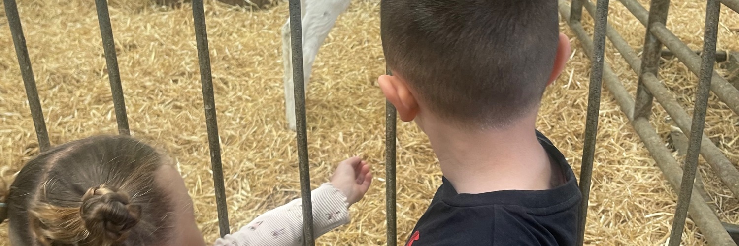 EmsThomas1992's profile banner image