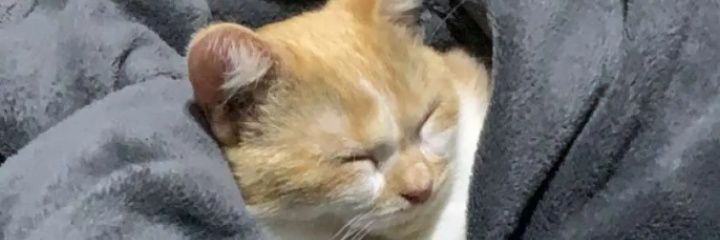 Souless42's profile banner image