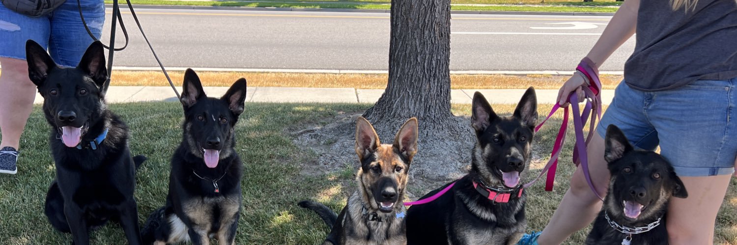 HiDef K9 / Team K9 banner