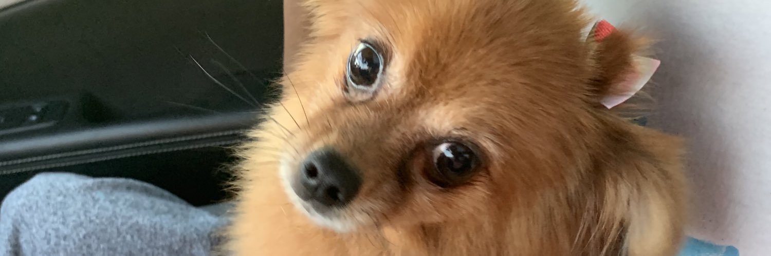 Rosebuggy's profile banner image