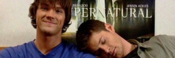 BigTigerBestt Profile Banner