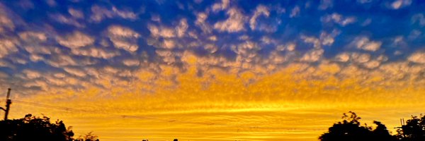 LeadOsakaSnow Profile Banner