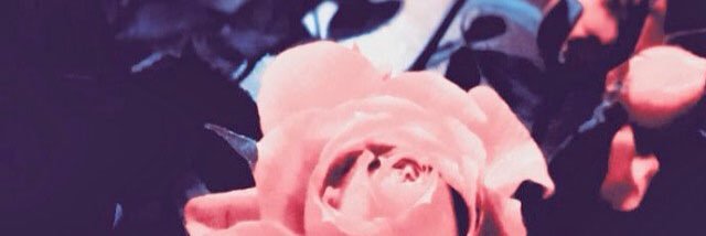 _tt07's profile banner image