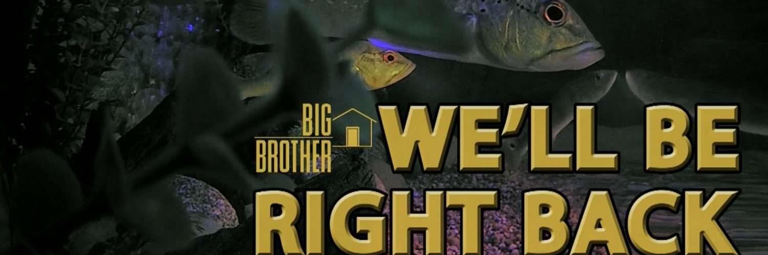 bbscreenshots #bb26 banner
