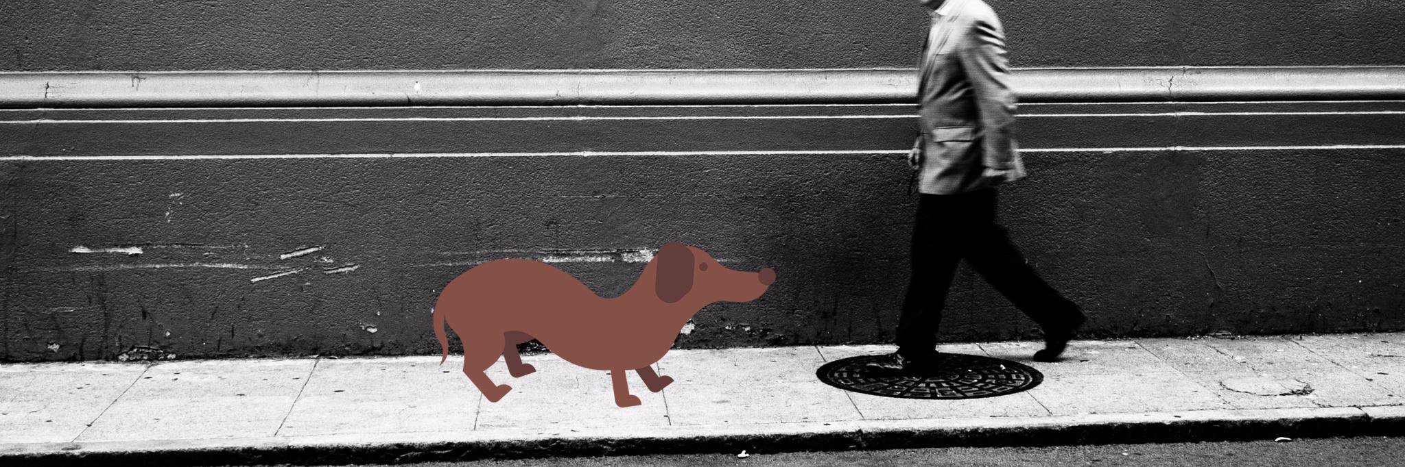 Josh Williams banner