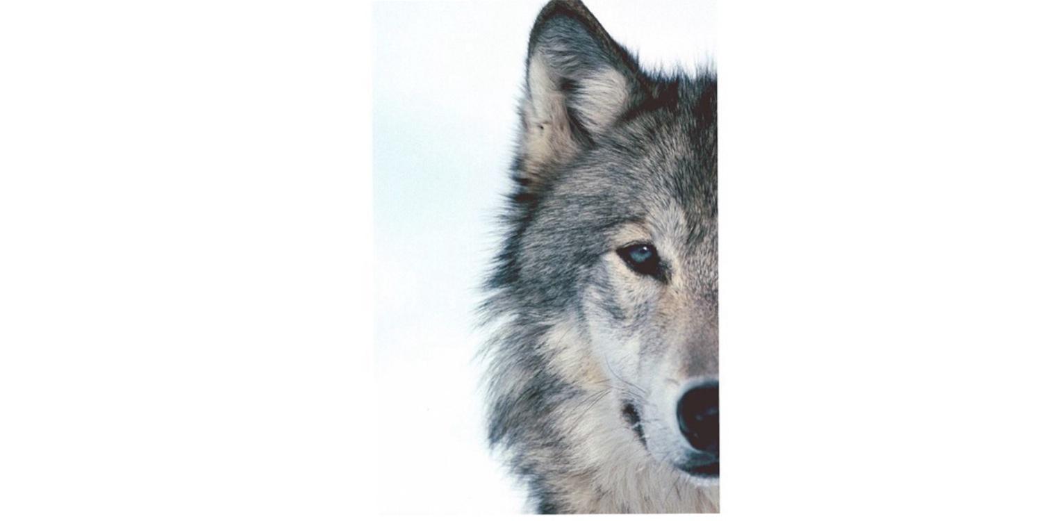 _luciia_29's profile banner image