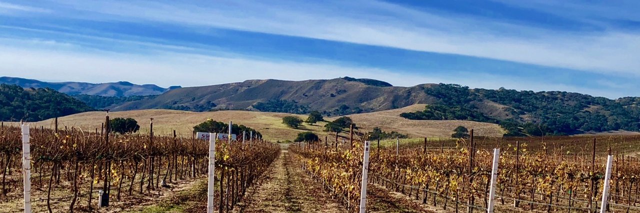 SYVWine's profile banner image