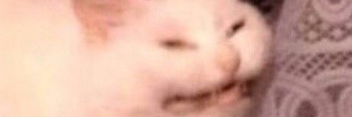 Cent1grade's profile banner image