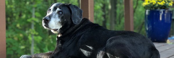 fettersac Profile Banner