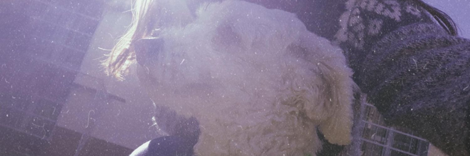 pyluperez's profile banner image