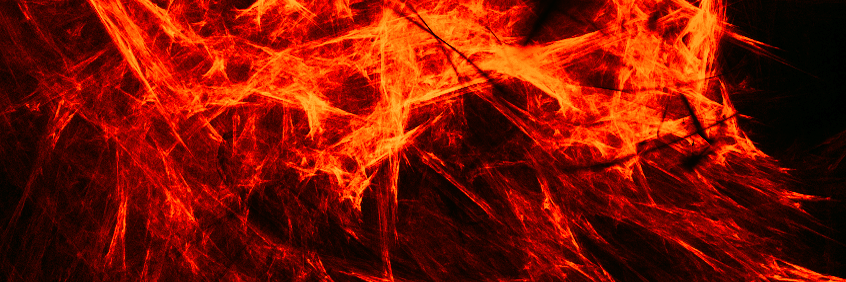 FENYXSANTOS's profile banner image