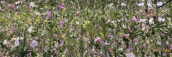 hfslca7439 Profile Banner