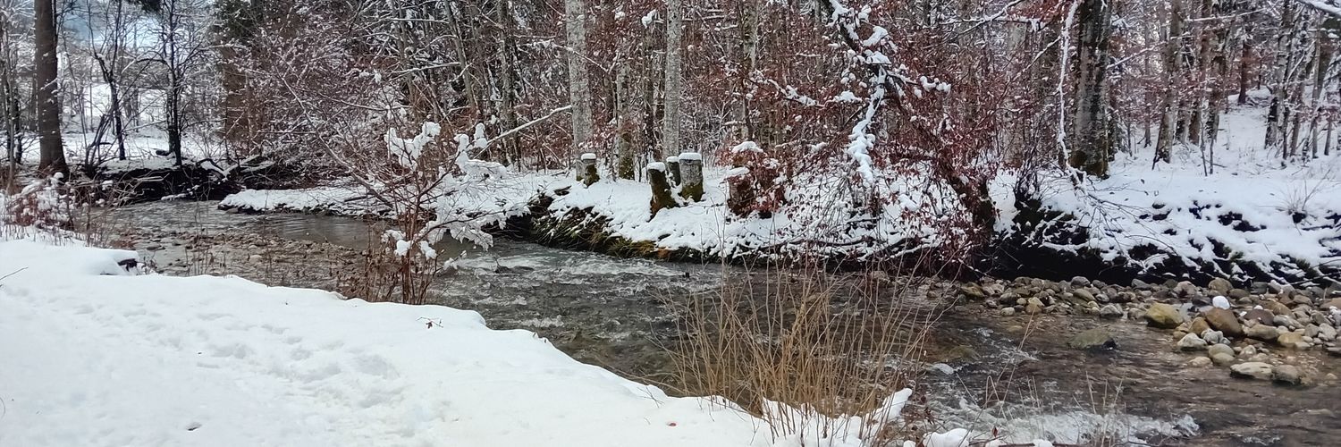 Queerbaiter hétéro compulsif 🤓🇵🇸 #TeamElips banner