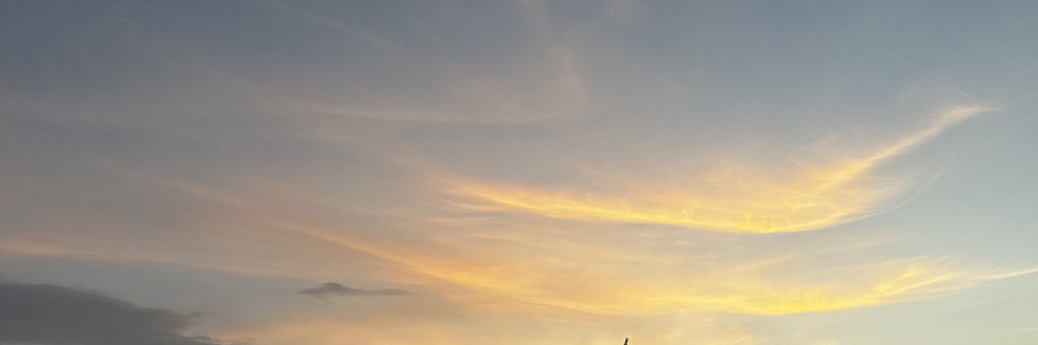 aii8lo's profile banner image