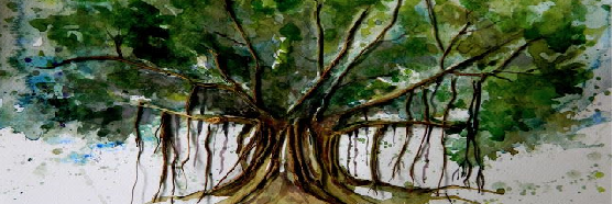 aravindvenkates's profile banner image