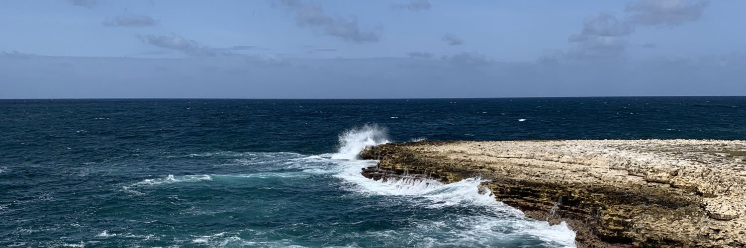 Leron🇦🇬 banner