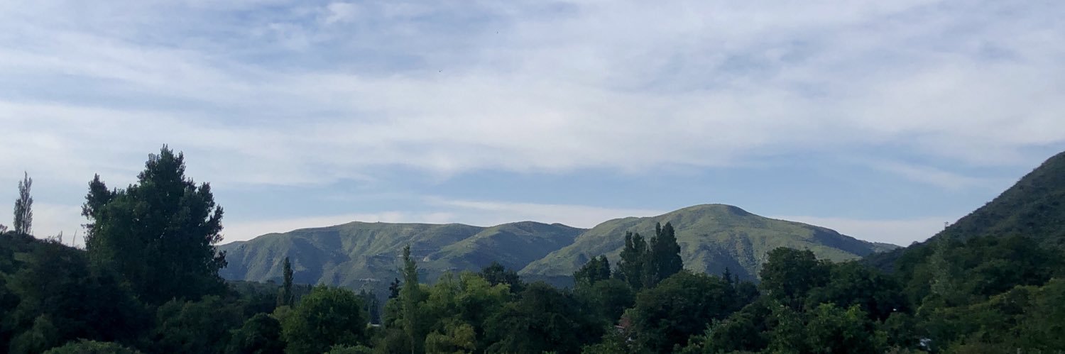 anitapiskulich's profile banner image