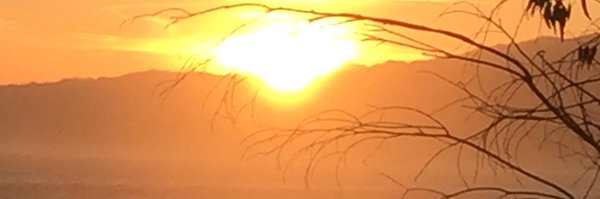 DeeTdfree3 Profile Banner