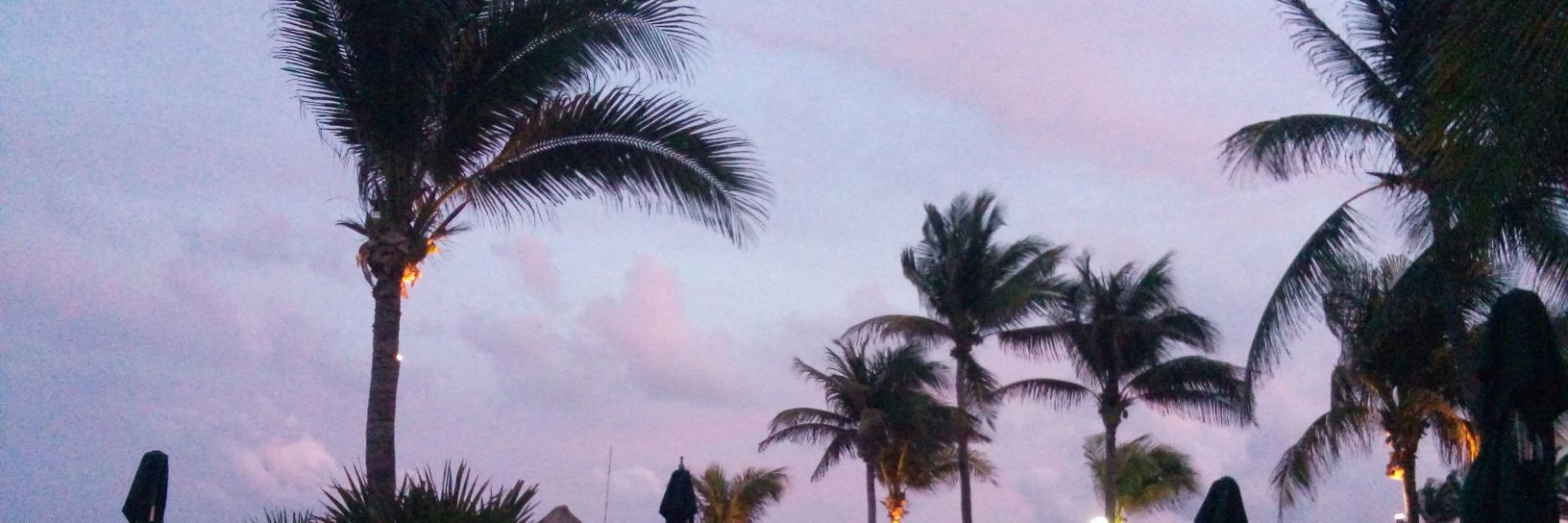Fassianalaura's profile banner image