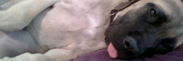 Defnotaspoof Profile Banner