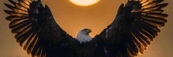 Plems_lunda Profile Banner