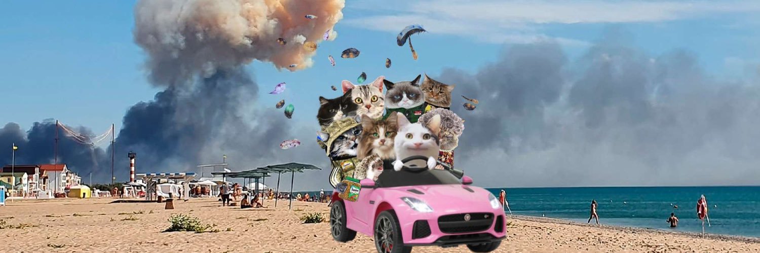 Sneffles NAFO Cat 🇺🇦 🇨🇦 🇲🇽 🇬🇱🇵🇦🇹🇼🇬🇧's banner