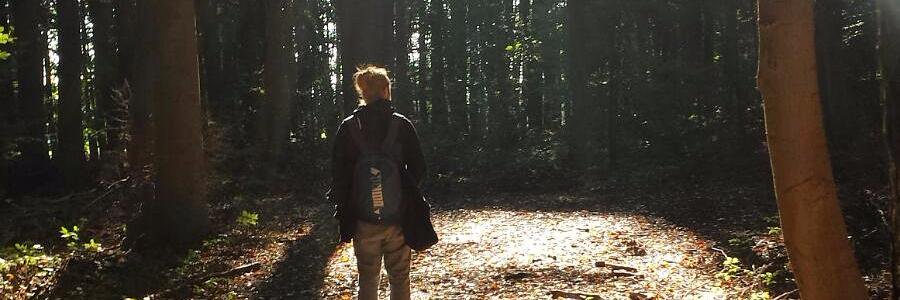 movlcopter's profile banner image