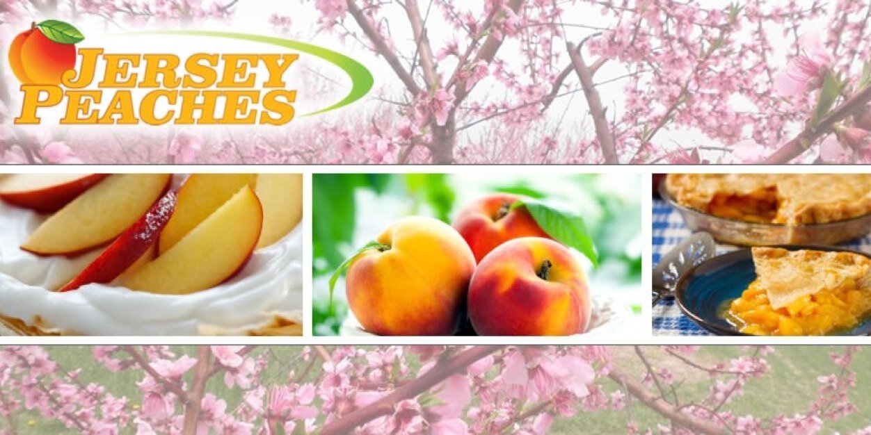 NJ_Peaches's profile banner image