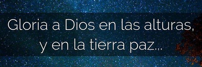 Alessa dR 🌷 banner