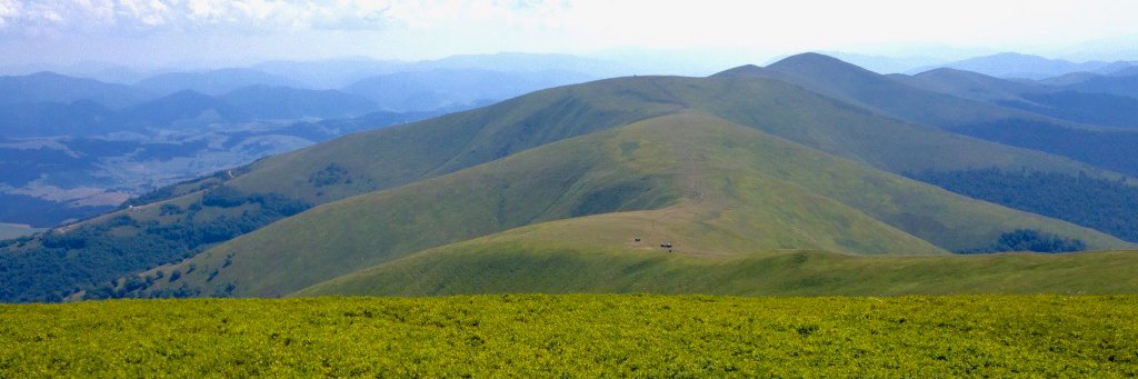 Artur Korniienko banner