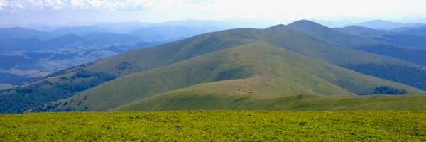 ak2ki_ Profile Banner