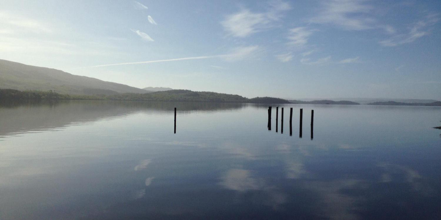 Elizabeth Morrison banner