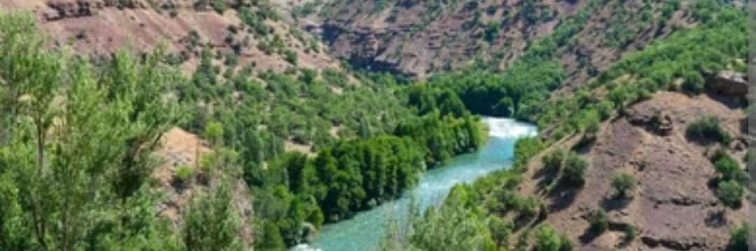 QemerAxa (قمر اغا) banner