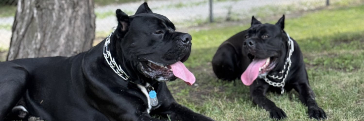 Michael Rivera banner