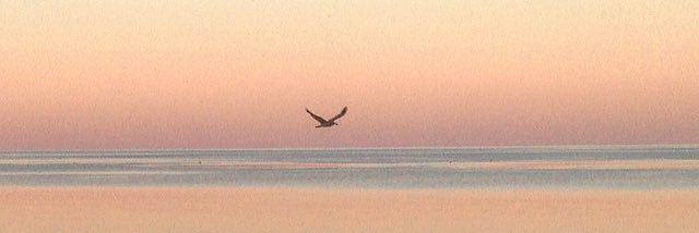 SallyRudman's profile banner image